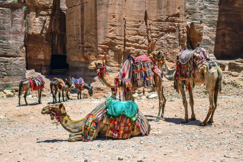 jordan tour packages from kuwait